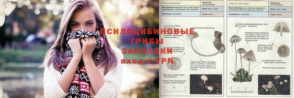 гашик Михайловка