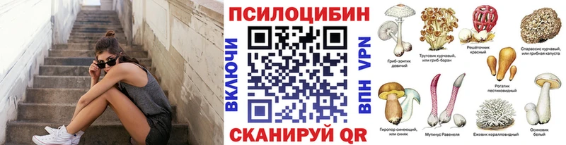 Галлюциногенные грибы Magic Shrooms  hydra ONION  Малая Вишера 